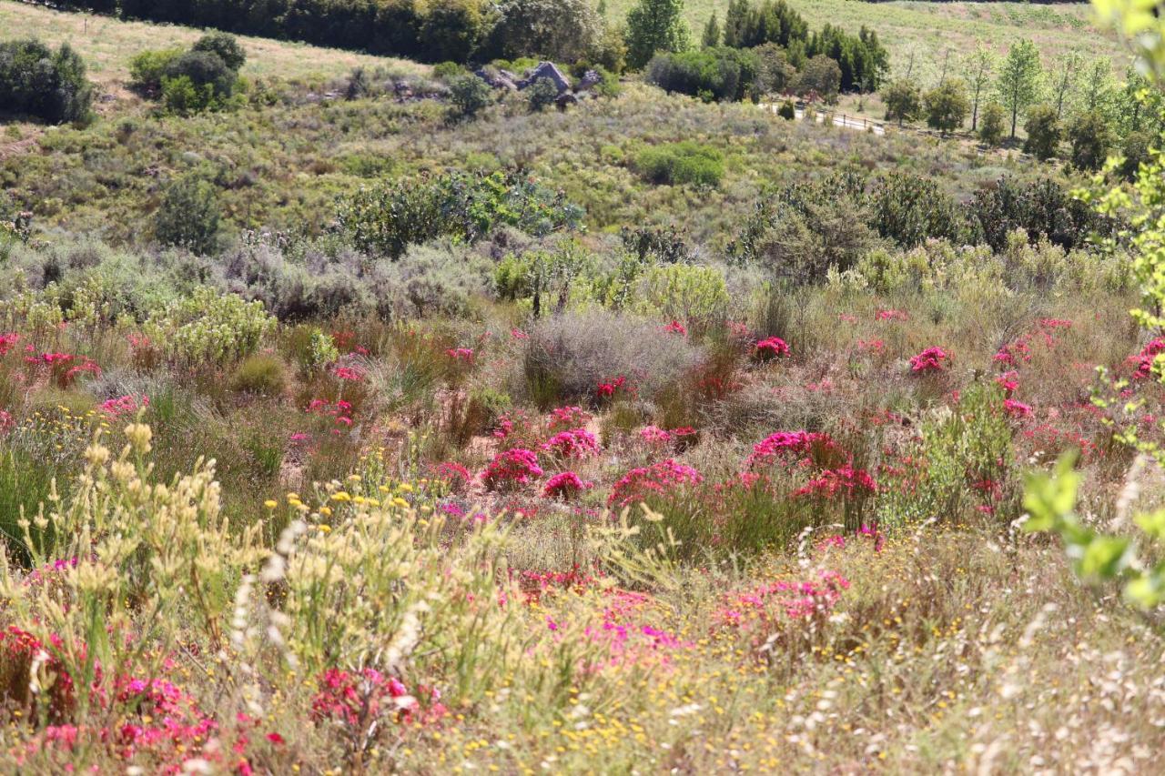 Highlands Eco Estate Hotel Piketberg Екстериор снимка